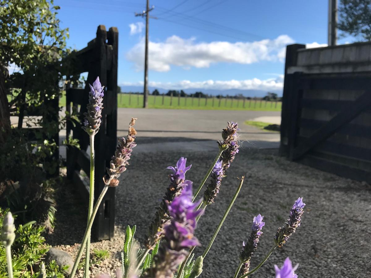 Lavender53 Villa Martinborough Exterior photo